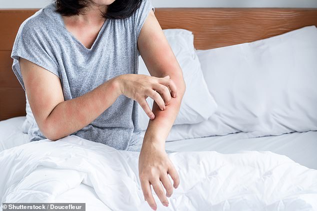 Dust Mites: A Hidden Threat to Allergy Sufferers and How to Combat Them