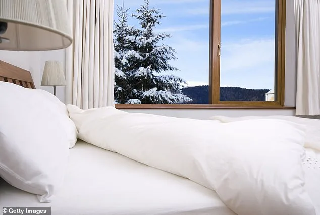 Dust Mites: A Hidden Threat to Allergy Sufferers and How to Combat Them