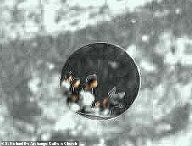 500-Year-Old Tilma of Guadalupe Reveals Microscopic Figures, Reigniting Science-Faith Debate