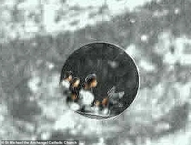 500-Year-Old Tilma of Guadalupe Reveals Microscopic Figures, Reigniting Science-Faith Debate