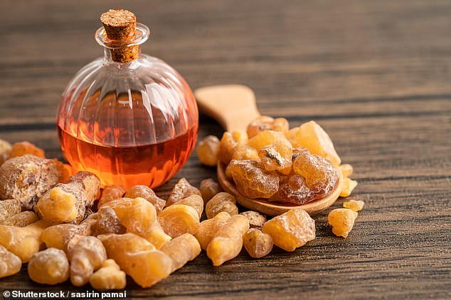 Boswellia Serrata: Ancient Resin Gains Scientific Attention for Chronic Condition Potential