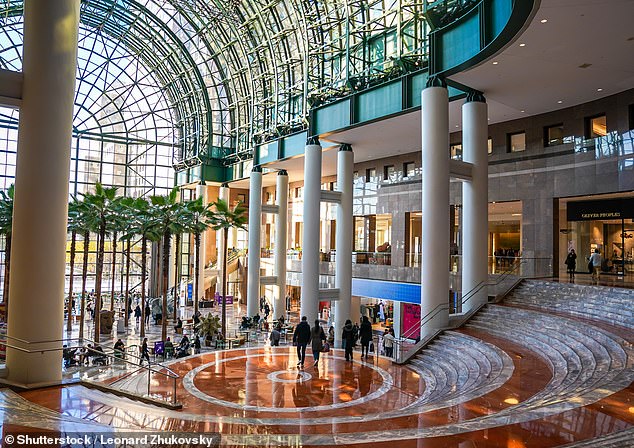 Generation Z's Spending Surge Sparks New Life for America's Struggling Malls