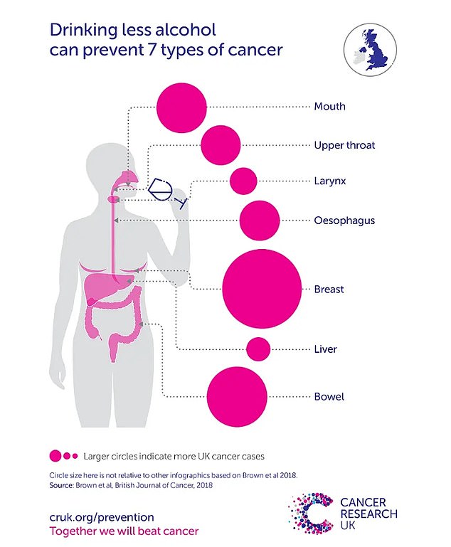 Catherine, Princess of Wales, Chooses Sobriety in Cancer Remission Amid Health Expert Concerns