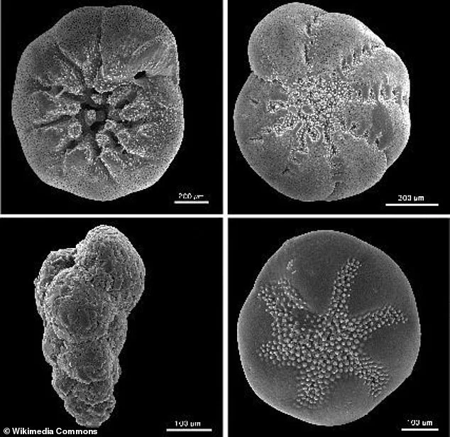 Earth's Days Lengthen at Unprecedented Rate Due to Climate Change