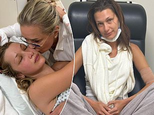 Nine-Year Dutchess County Study Shows Babesia Microti Surpassing Lyme Disease as Top Tick-Borne Threat