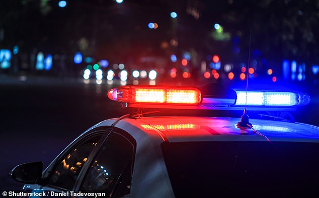 Council President Accuses LAPD of Racial Profiling in Traffic Stop; LASPD Clarifies Involvement