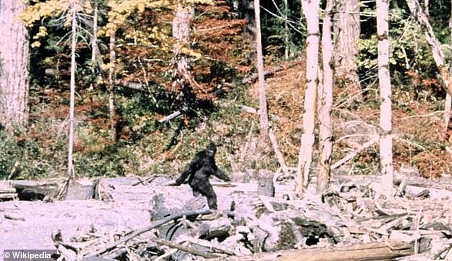 Eight 'Bigfoot' Sightings in Four Days Spark Unprecedented Surge in Ohio