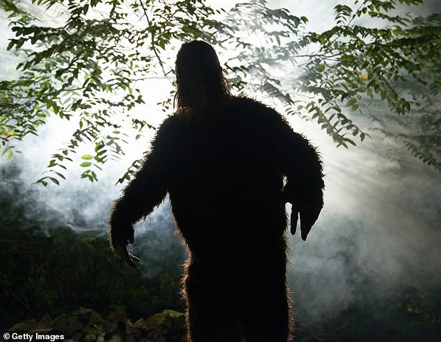Eight 'Bigfoot' Sightings in Four Days Spark Unprecedented Surge in Ohio