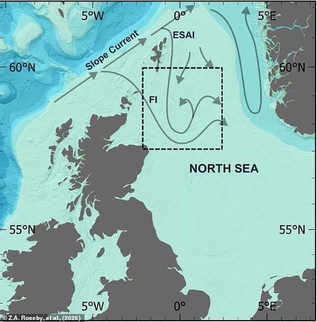 Scampi and Chips Under Scrutiny as Bottom Trawling Threatens Ancient Carbon Stores