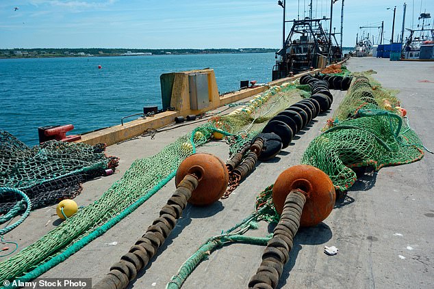 Scampi and Chips Under Scrutiny as Bottom Trawling Threatens Ancient Carbon Stores