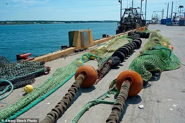 Scampi and Chips Under Scrutiny as Bottom Trawling Threatens Ancient Carbon Stores