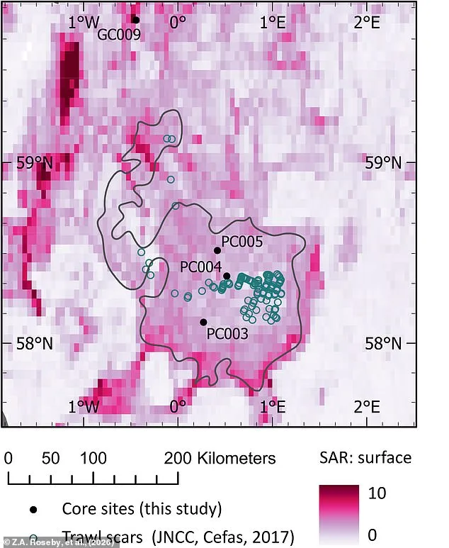 Scampi and Chips Under Scrutiny as Bottom Trawling Threatens Ancient Carbon Stores