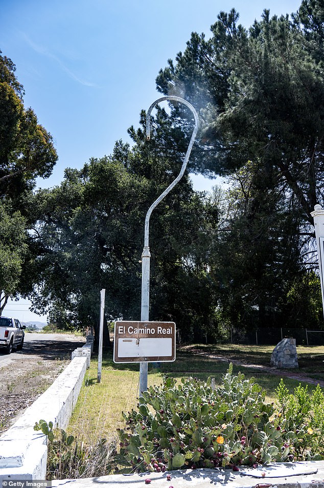 Burlingame's Iconic 'City of Trees' Under Threat as Caltrans Clears Historic Eucalyptus Canopy Along El Camino Real