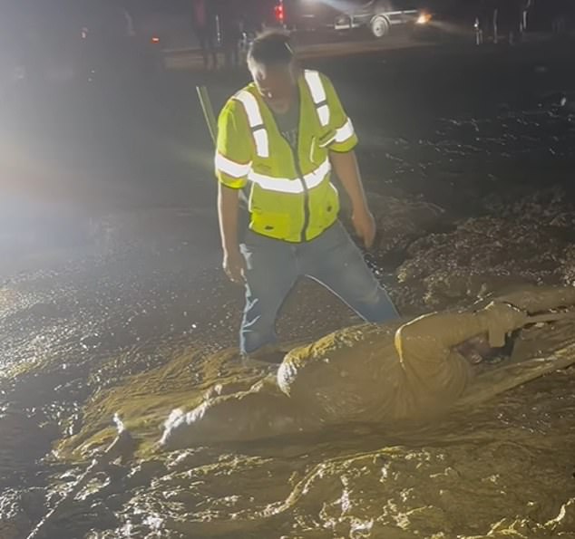 Mississippi Man Trapped in Muddy 'Quicksand' During ATV Ride, Calls for Help