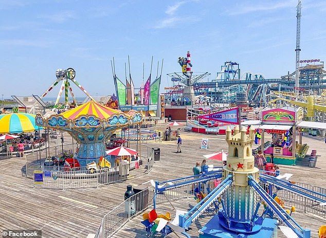 New Jersey Father's Seagull Decapitation Plea Sparks Debate on Animal Rights and Legal Boundaries