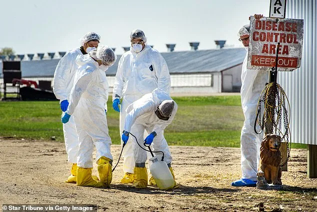 Deadly Bird Flu Spreads to Marine Mammals in California for First Time, Health Officials Warn