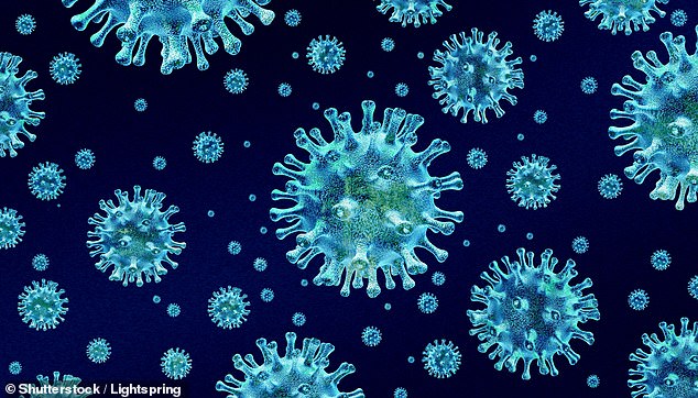 Deadly Bird Flu Spreads to Marine Mammals in California for First Time, Health Officials Warn