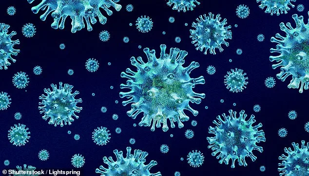 Deadly Bird Flu Spreads to Marine Mammals in California for First Time, Health Officials Warn