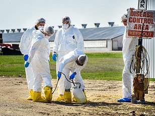 Deadly Bird Flu Spreads to Marine Mammals in California for First Time, Health Officials Warn