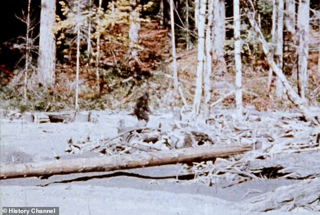 New Documentary Claims 1967 Patterson-Gimlin Bigfoot Film Was Staged Hoax, Unveiling 1966 Test Footage