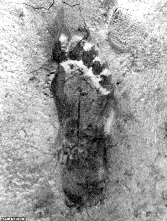 New Documentary Claims 1967 Patterson-Gimlin Bigfoot Film Was Staged Hoax, Unveiling 1966 Test Footage