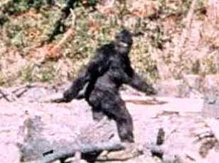 New Documentary Claims 1967 Patterson-Gimlin Bigfoot Film Was Staged Hoax, Unveiling 1966 Test Footage