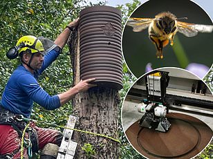 Hidden Crisis: British Honey Contaminated with Prescription Drugs from Biosolids