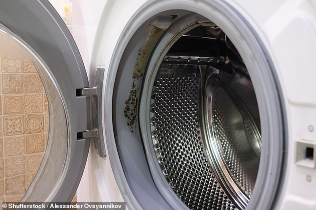 The Hidden Mold Breeding Ground in Your Washing Machine: Why Leaving the Door Closed Could Be a Major Mistake