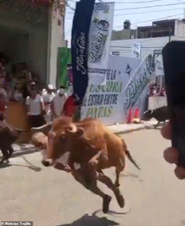 Miraculous Survival as Bull Strikes Man During Viral Peru Festival Incident
