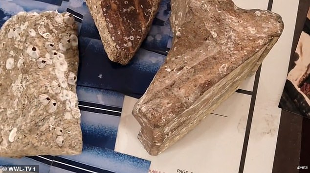 Beneath the Waves: Retired Architect Claims Discovery of 12,000-Year-Old Submerged City in Gulf of Mexico