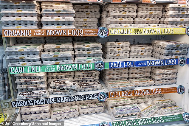 The Organic Paradox: Healthier, Wealthier, or Just More Expensive?