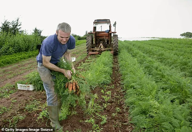 The Organic Paradox: Healthier, Wealthier, or Just More Expensive?