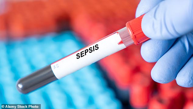 From Relief to Agony: Sammi Hassan's Harrowing Post-Surgery Experience