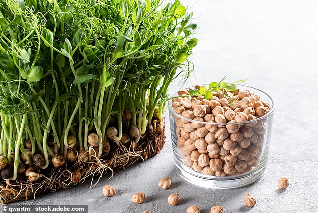 Is Hummus Truly Healthy? Unpacking the Science Behind This Beloved Dip