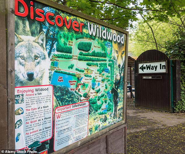 Last-Resort Euthanasia of Wolves at Wildwood Trust Due to Aggression and Injuries
