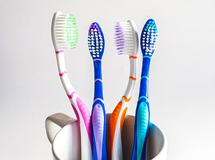 Dr. Primrose Freestone Warns: Improper Storage of Leftovers Can Lead to Food Poisoning