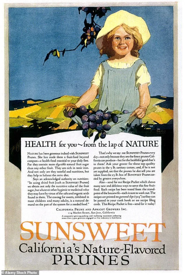 Prunes May Hold Hidden Power as Cancer-Fighting Superfood, Experts Say