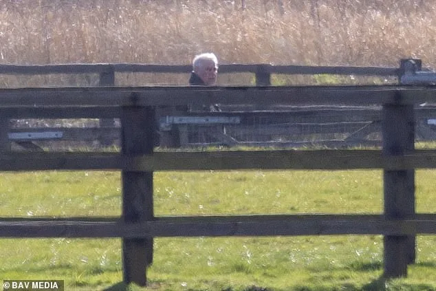Andrew Mountbatten-Windsor Spotted with Horses Amid Scrutiny and Alleged Riding Ban