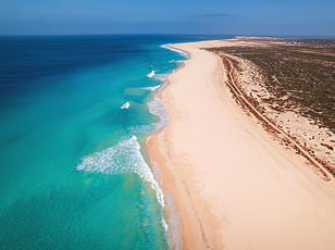 Urgent Warnings: British Travelers Face Rising Risks of Importing Deadly Diseases and Drug-Resistant Infections