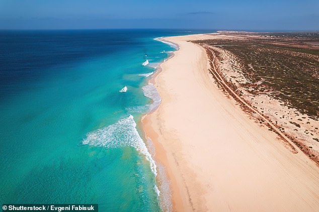 Urgent Warnings: British Travelers Face Rising Risks of Importing Deadly Diseases and Drug-Resistant Infections