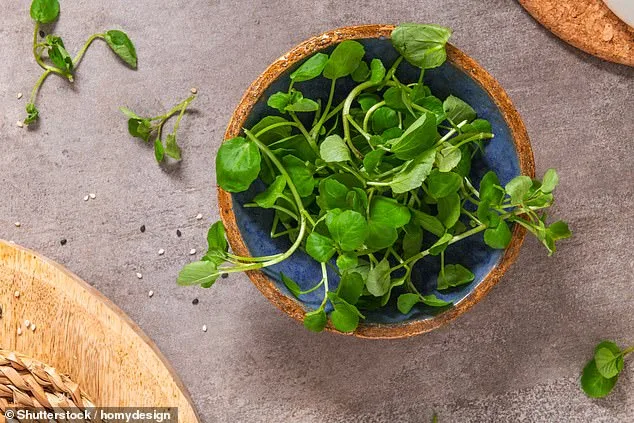 Watercress: The Unassuming Powerhouse That Tops the CDC's Superfood List