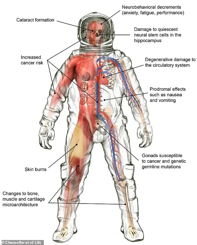 Artemis II Mission: Health Challenges of a 10-Day Lunar Voyage
