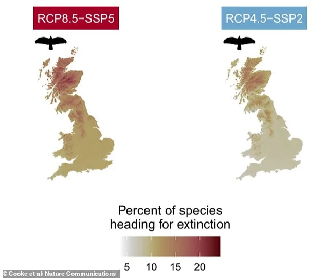 Britain Stands at a Crossroads: Urgent Action Needed to Prevent Extinction of Hundreds of Native Species Within Two Decades