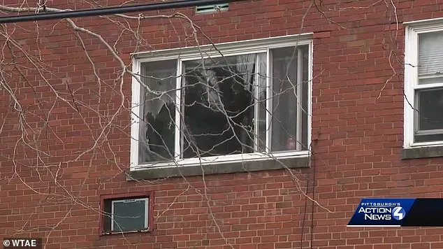 Pennsylvania Babysitter Released Following Alleged Drowning Attempt on Children and Mother, Sparking System Failure Concerns