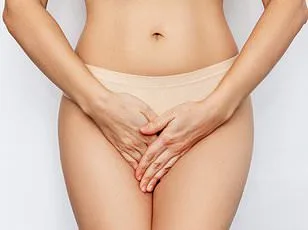 Scientists Reveal First High-Resolution Clitoris Map, Redefining Understanding of Female Sexual Health