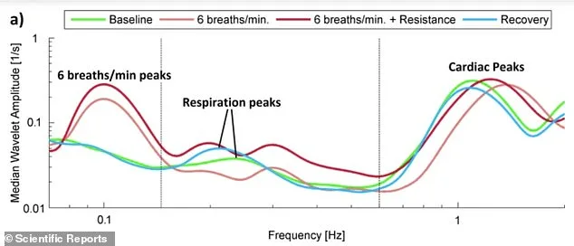 5 Science-Backed Morning Routines to Lower Blood Pressure Without Medication
