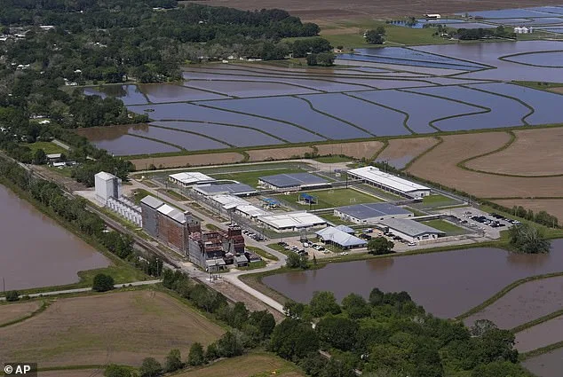 Military Spouse Annie Ramos Released After Detention, Ankle Monitor Remains