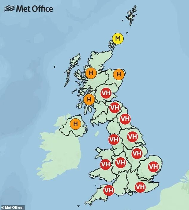 UK Under Week-Long Red Alert for 'Pollen Bomb' as Hay Fever Sufferers Face Severe Symptoms