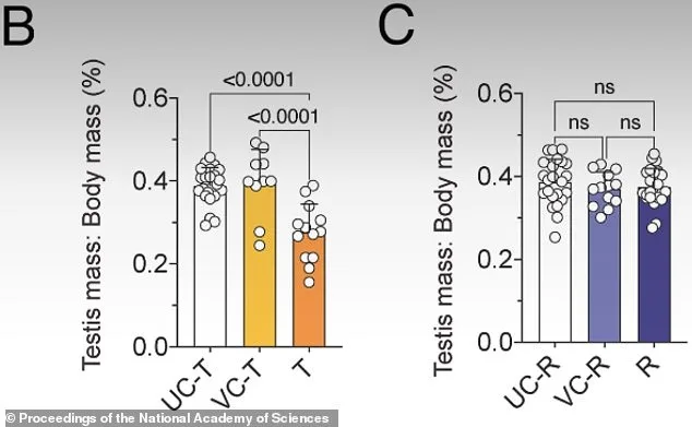 Breakthrough in Male Contraception: Safe, Reversible Option Offers Hormone-Free Solution