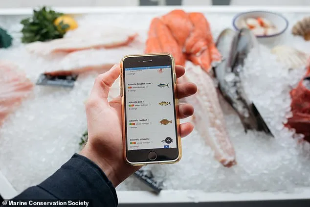 Cod and Chips Face Uncertain Future as Overfishing and Climate Change Threaten UK Seafood Sustainability